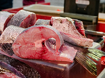 Fish Fillets